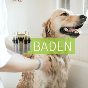 Hydra- Shampoo, Conditioner und Pflege für Hunde und Katzen Hydra- Shampoo, Conditioner und Pflege für Hunde und Katzen