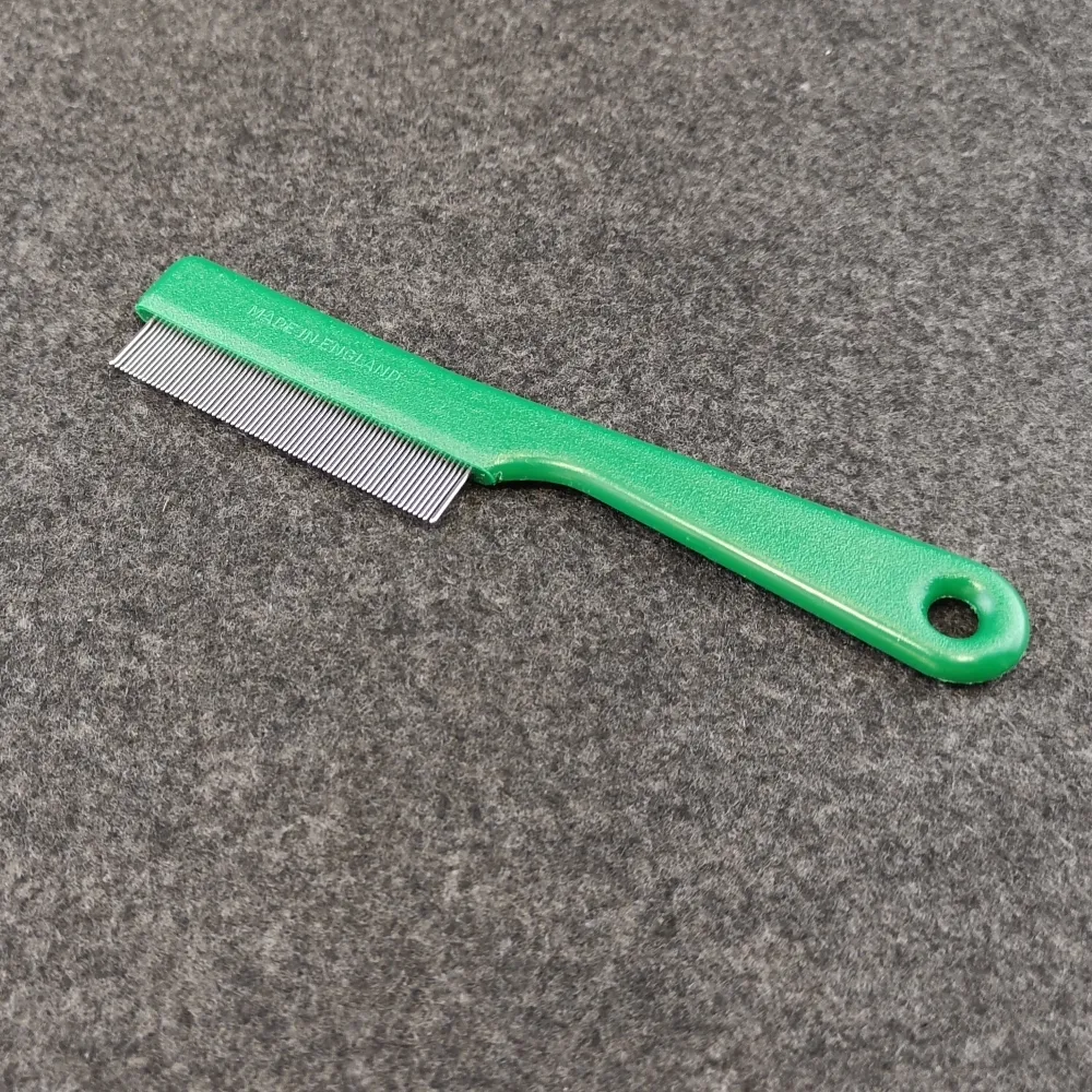 kleiner Flohkamm