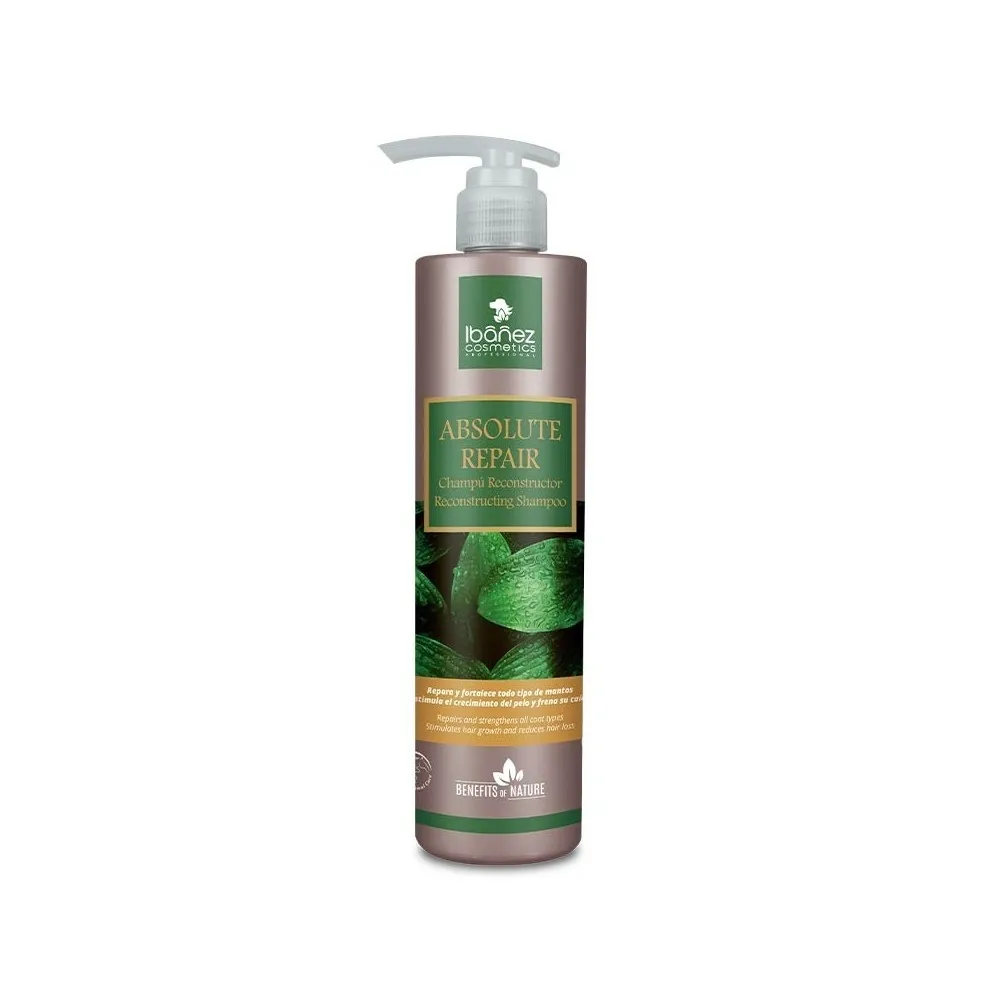 Ibáñez Absolute Repair Shampoo
