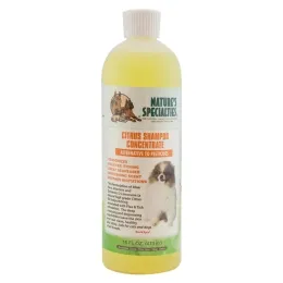 Natures Specialities Citrus Shampoo